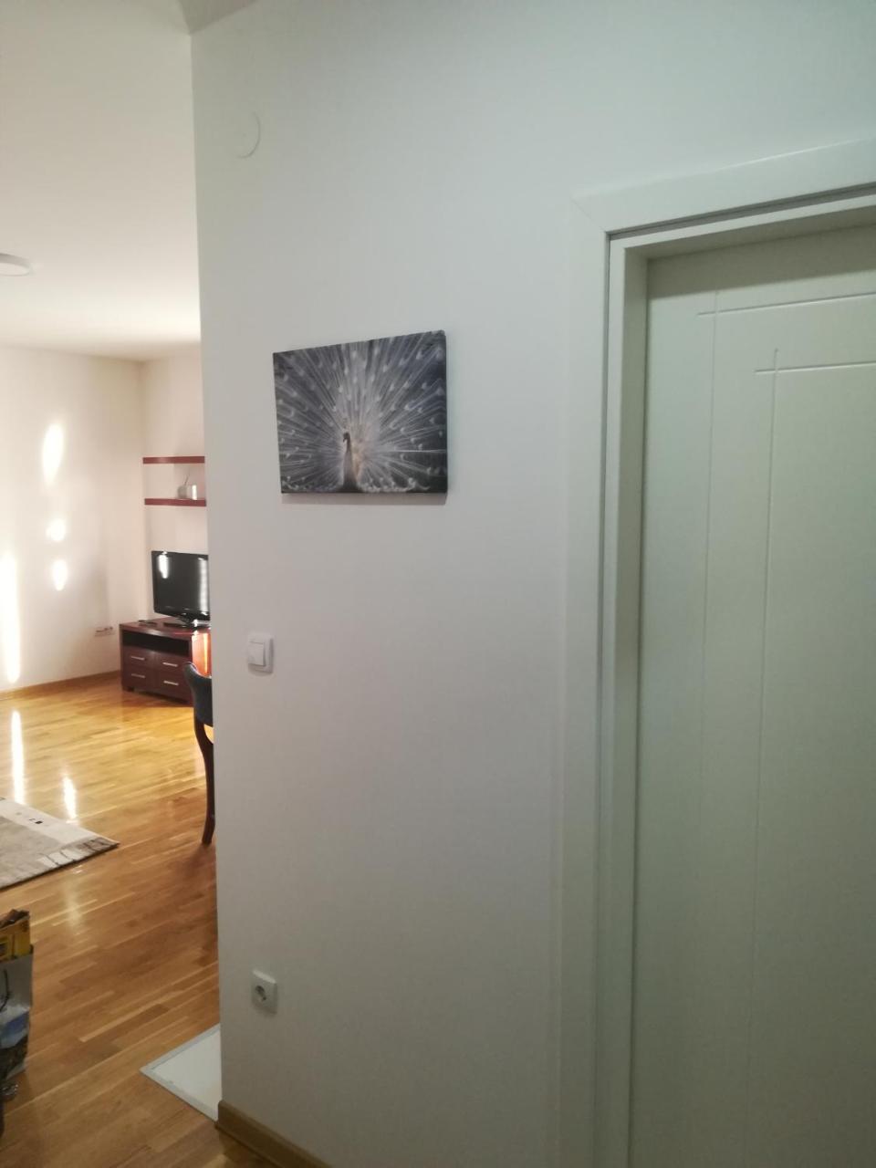 Apartmens Natali Daire Belgrad Dış mekan fotoğraf